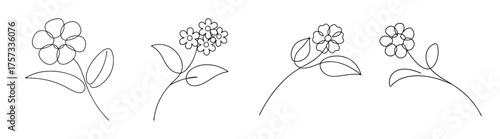 Intricate line art sketches of lantana flowers delicate blossoms and leaves detailed botanical study