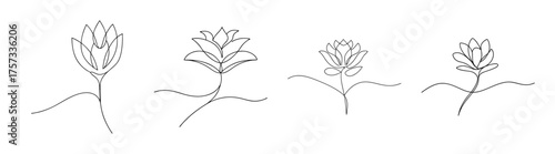 Delicate sketch of torch ginger flowers in a natural arrangement with subtle detail