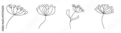 Four detailed line drawings of yarrow flowers showcasing delicate petal structures and stem details in a naturalistic composition