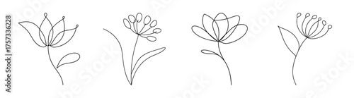 Elegant line art sketches of blooming allium flowers delicate botanical drawings for floral design inspiration