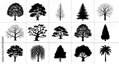 Collection of different tree silhouettes, including deciduous and coniferous types, presented in a.