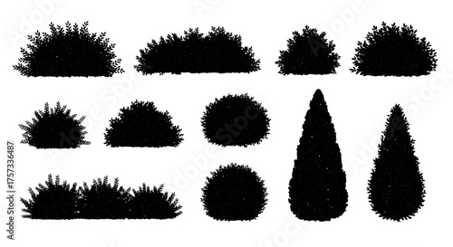 Silhouettes of various bushes and small trees are arranged on a white surface, creating a.