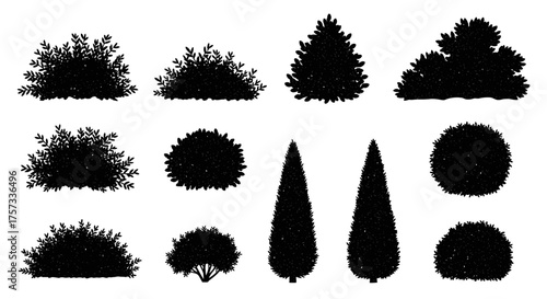 Silhouetted shrubs and trees of various shapes are arranged in rows on a white surface.