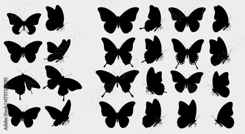 Silhouettes of various butterflies are presented in a stark monochrome composition, showcasing their.