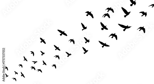 A flock of birds is flying together, forming a dynamic and visually striking silhouette against a.