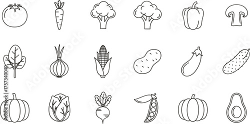 Hand drawn sketch collection of various fresh vegetables and fruits
