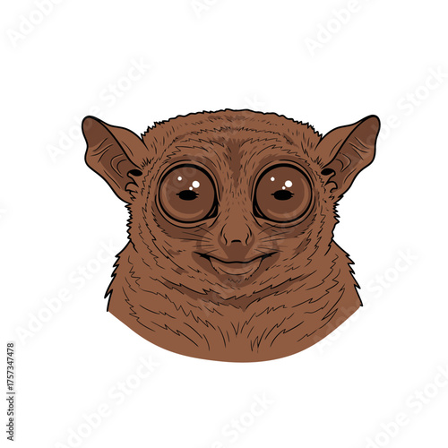 Cute tarsier primate with big eyes looking directly at camera.
