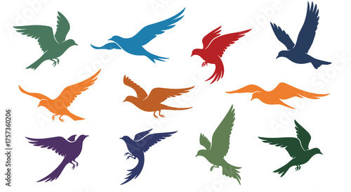 A collection of diverse bird silhouettes in flight in various colors.