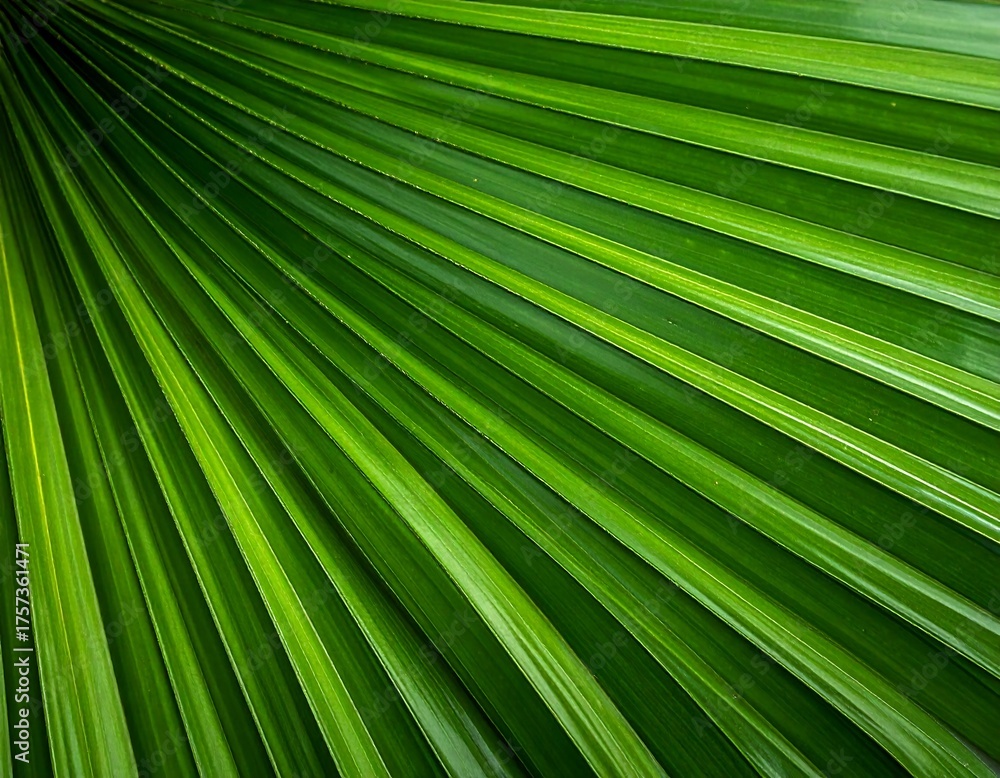 Obraz premium Close-up of a vibrant, textured, fan-shaped green leaf, diagonal lines