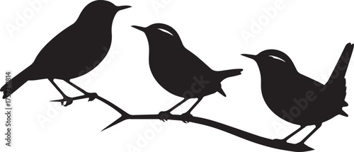 Wallpaper Mural Birds on White Background Vector Illustration Torontodigital.ca