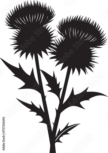 Wallpaper Mural Botanical illustration of thistle silhouette vector, logo vector Torontodigital.ca