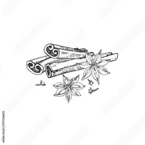 Cinnamon, anise, and clove spices. Hand-drawn ink vector illustrations. Elements for spice label design, mulled wine
