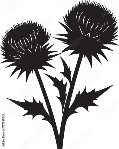Wallpaper Mural Botanical illustration of thistle silhouette vector, logo vector Torontodigital.ca