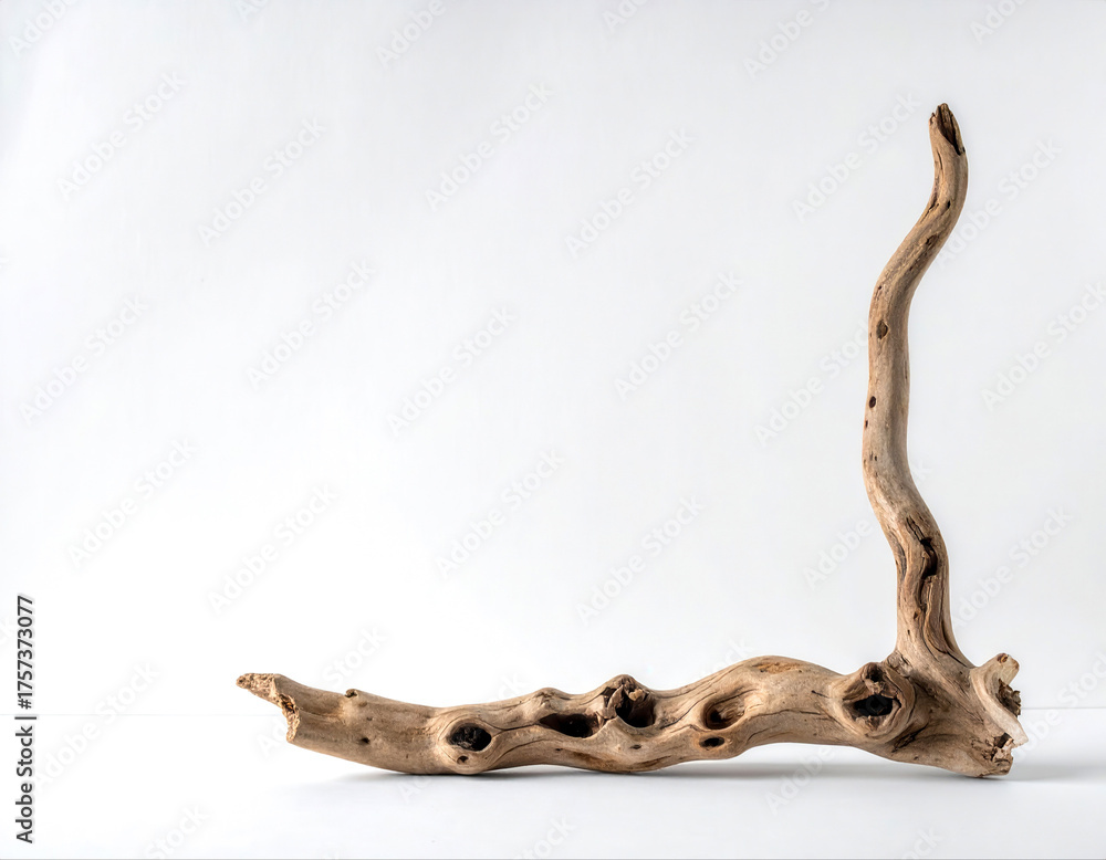 Fototapeta premium Natural driftwood sculpture against a clean white background