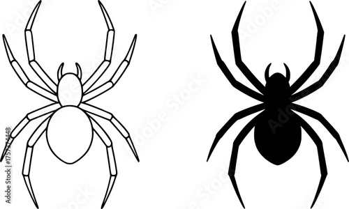 Spider, black and white vector, outline and silhouette versions