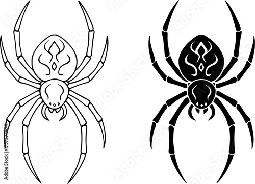 spider, black and white vector, outline and silhouette versions