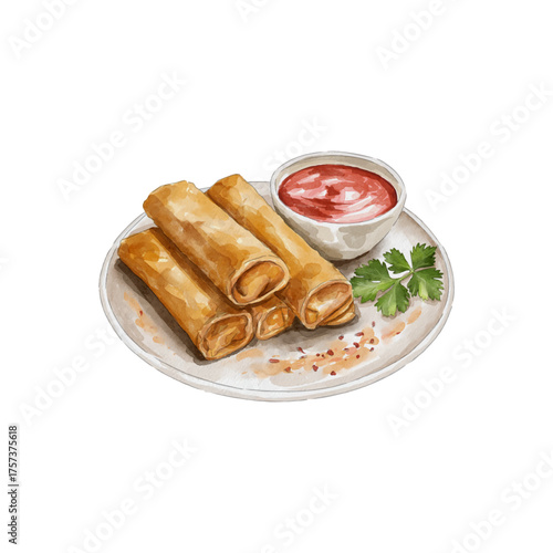 Spring rolls watercolor isolated vector white background