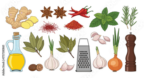 A collection of fresh herbs spices and seasonings for cooking.