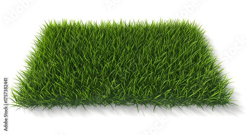Green grass texture isolated on white background
