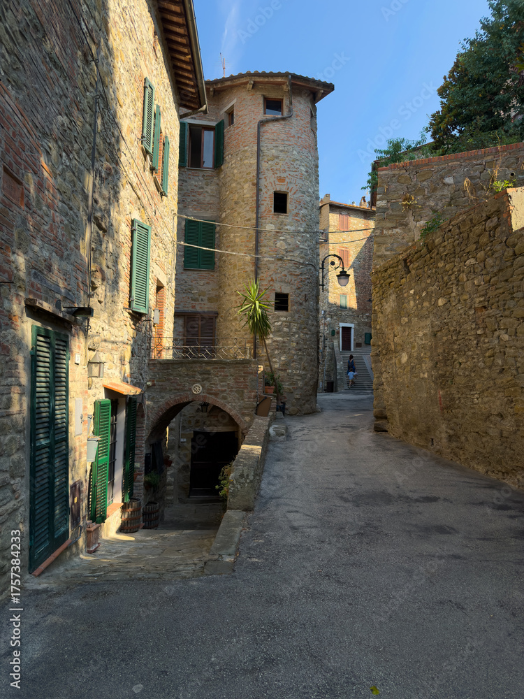Fototapeta premium the narrow streets of the historic center of the medieval village of Passignano sul Trasimeno.