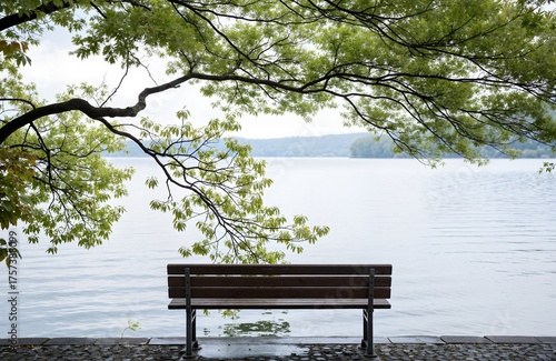 bench in the park
