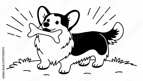 A happy Corgi dog with a bone in its mouth