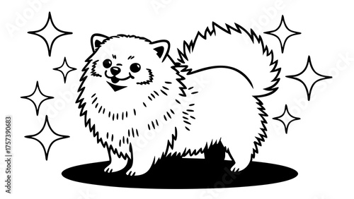 Cheerful Pomeranian Dog With a Fluffy Tail in Black and White