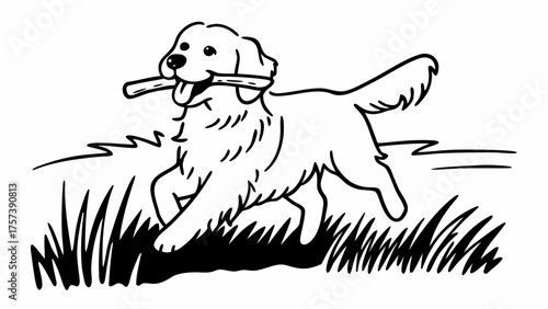 Golden Retriever Dog Playing Fetch with a Stick in Grass