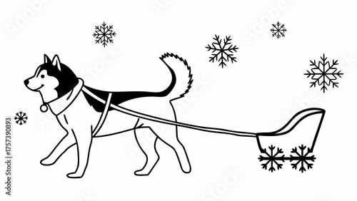 Husky dog pulling a sled in snowy winter conditions