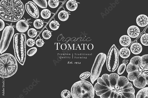 Hand Drawn Chalk Board Tomato Illustration. Retro Vegetable Vector Design Template. Old School Farm Food.