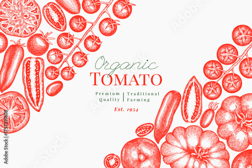 Hand Drawn Tomato Illustration. Retro Vegetable Vector Design Template. Old School Farm Food.