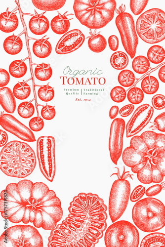 Hand Drawn Tomato Illustration. Retro Vegetable Vector Design Template. Old School Farm Food.