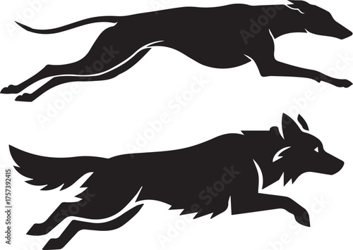 Wild Predator and Domestic Dog Black Silhouettes in Motion