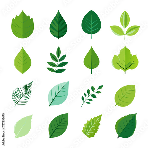 Collection of diverse green leaves vector illustrations. Various shapes, shades, and styles of natural foliage elements for design.