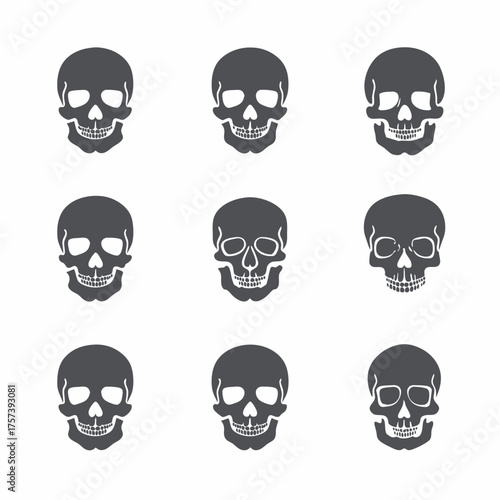 Collection of diverse grey human skull vector illustrations, stylized silhouette designs isolated on a white background, anatomy concept.