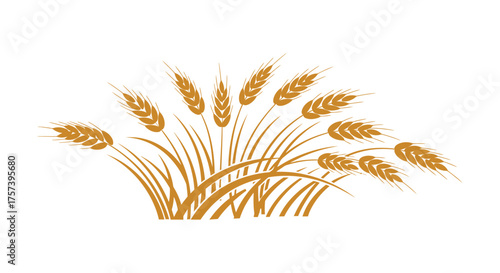 Golden ripe wheat ears in a bundle illustrating abundance harvest agriculture organic food grain silhouette