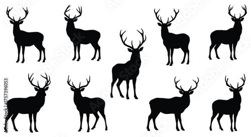 Majestic stag silhouette collection diverse poses majestic forest wildlife animal silhouette herd group silhouette