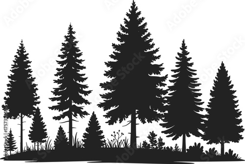 Black and white silhouette illustration of pine trees forest landscape with grass and plants, natural evergreen woodland vector background design