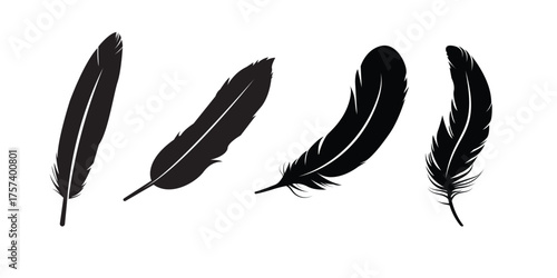set of feather silhouette vector  . A set of bird feathers of different shapes, straight, curved and flying. eps 10 