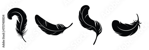 set of feather silhouette vector  . A set of bird feathers of different shapes, straight, curved and flying. eps 10 