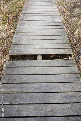 wooden boardwalk with broken plank