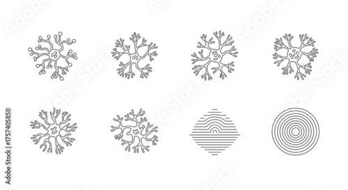 Abstract geometric circular floral motifs and textured circles graphic collection vector
