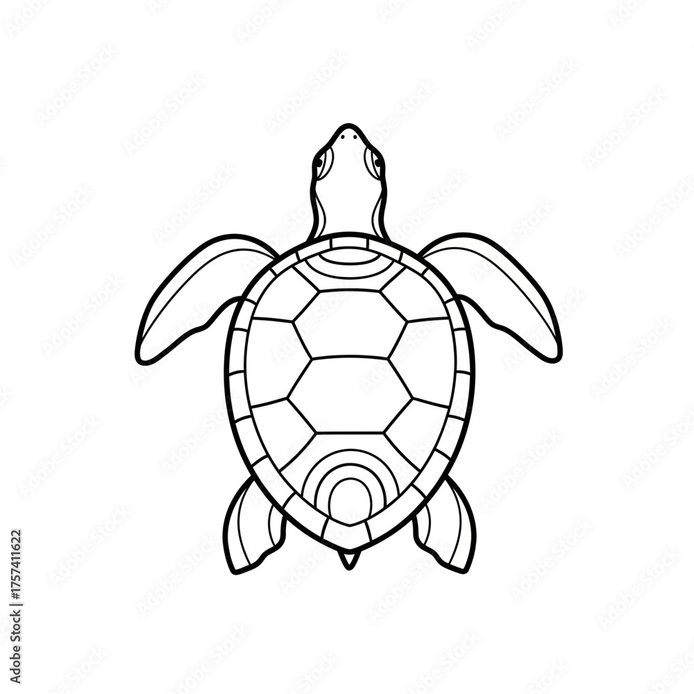Fototapeta premium turtle vector illustration