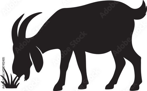 Many fictional scenes of goats- ছাগল 