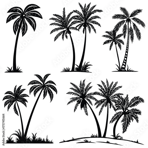 A collection of black silhouette palm trees  illustration vector