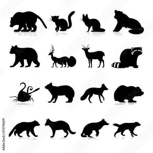 Diverse wild animal silhouettes set. Collection of various mammal vector icons including bear, deer, fox, raccoon, and cat on white.