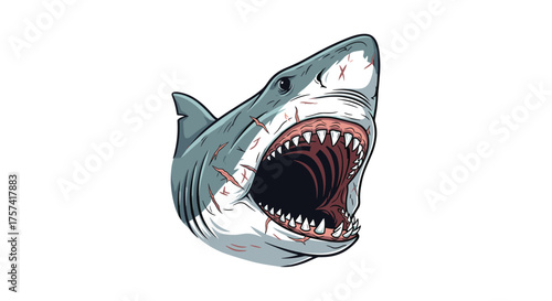 An aggressive great white shark with its mouth open showing sharp teeth.