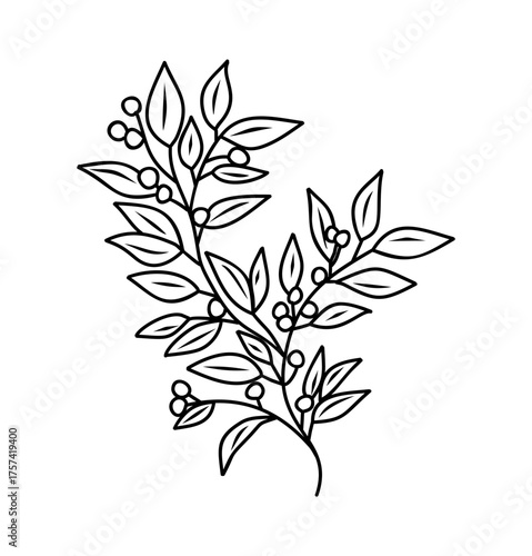 Black and white vector of a decorative botanical branch with leaves and berries, minimalist line art, continuous clean lines, asymmetrical design on transparent background