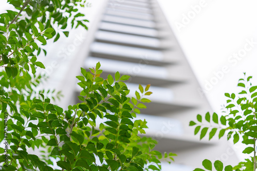 Bild auf Leinwand 植栽　マンション