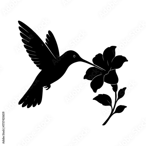 Hummingbird Silhouette Flying Bird Drinking Nectar from Flower Vector Illustration